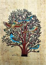 鸟类的合欢树 纸莎草纸 埃及纸莎草纸画